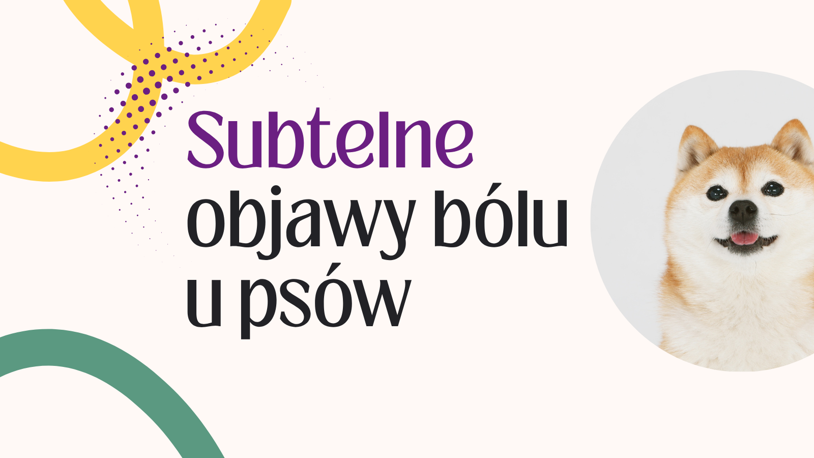 Subtelne objawy bólu u psów
